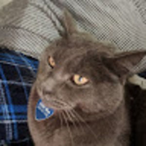 Meet your Posher, Tanya